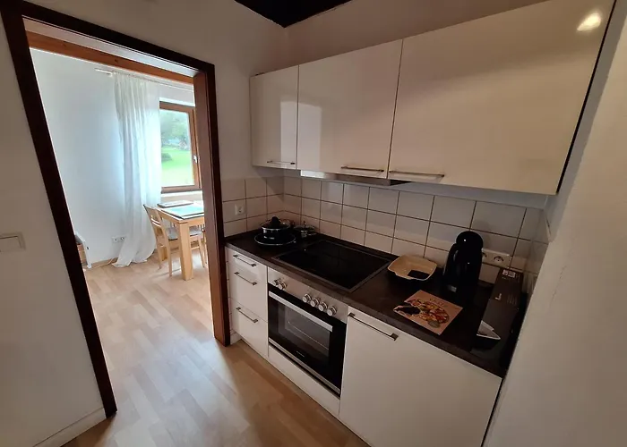 公寓 Ferienchalet 赫辛根